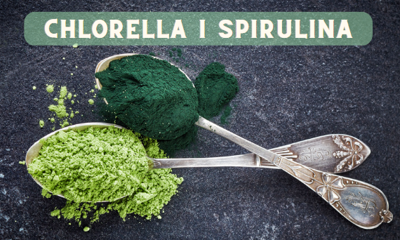 Verschil tussen Spirulina en Chlorella