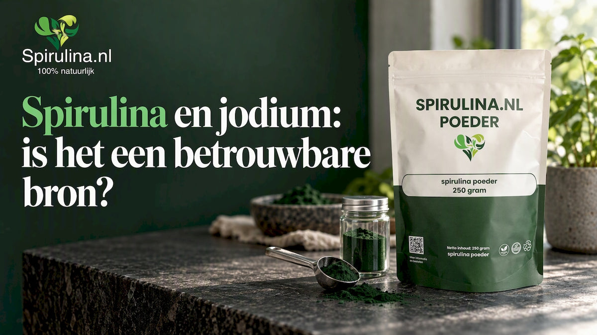 Spirulina poeder tijdens kwaliteitscontrole