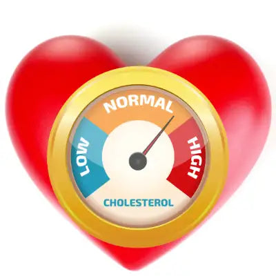 Kracht van Spirulina in het Verlagen van Cholesterol