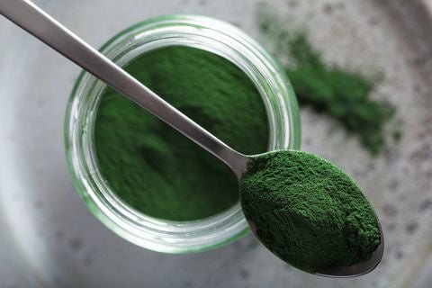 Spirulina voor beginners - de belangrijkste informatie - Spirulina.nl