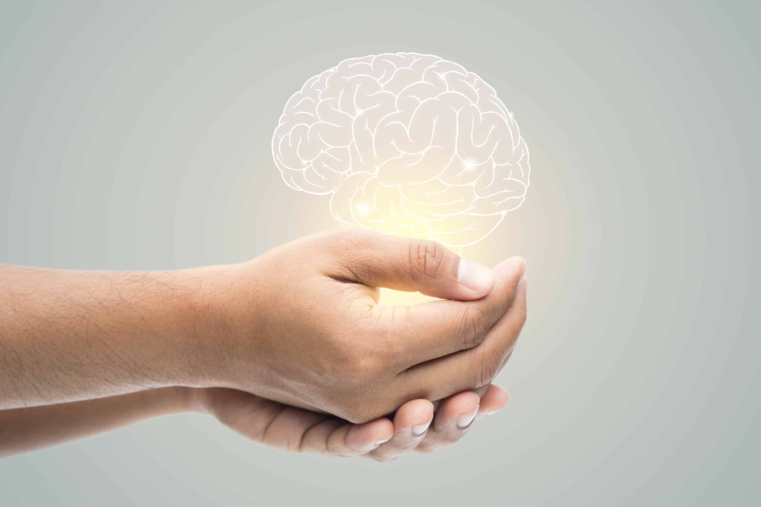Spirulina en Cognitieve Functie: Kan het je Geheugen en Concentratie Verbeteren?