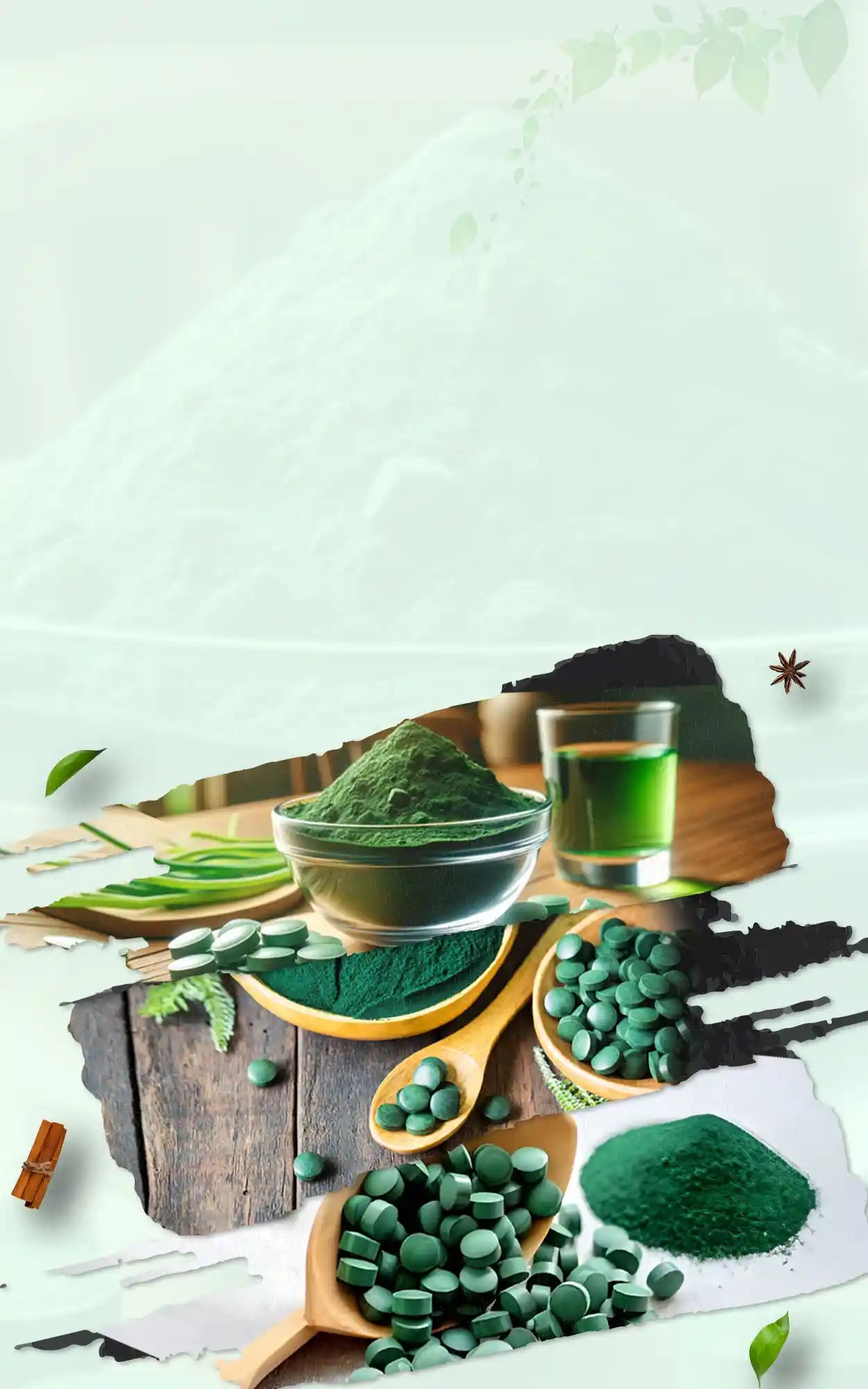 100% Pure Spirulina Tabletten & Poeder