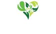Spirulina